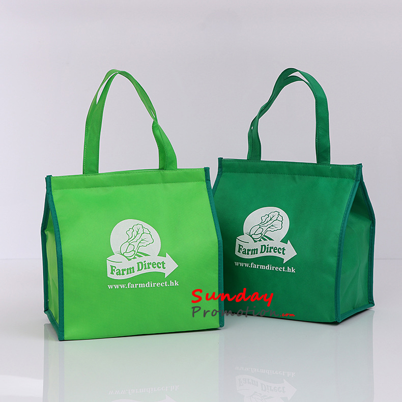 Custom Insulated Bags for Promotional Products for Store 8 inch