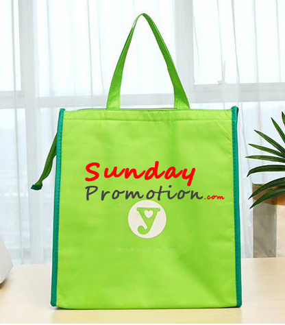 Custom Insulated Cooler Bags Wholesale for Frozen Food with Zipper