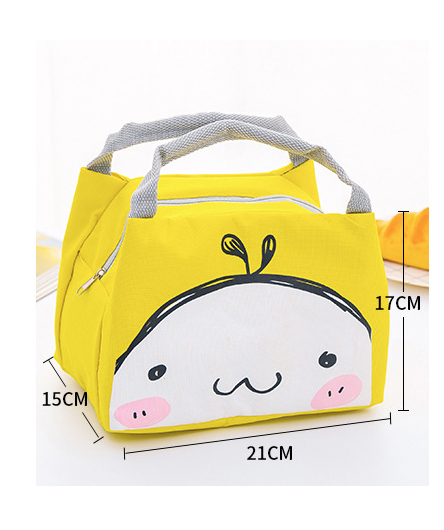 Custom Insulated Bag For Frozen Food Lunch Bag Supplier Online Free Shipping